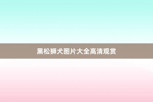 黑松狮犬图片大全高清观赏
